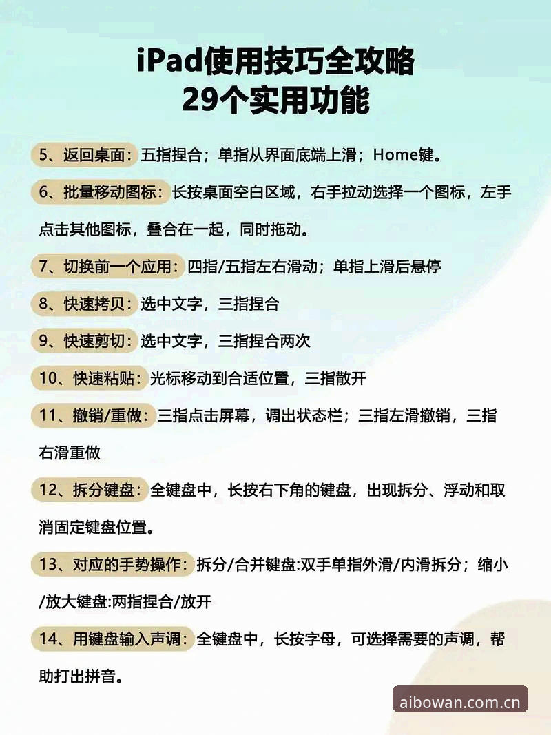 博万APP使用体验与实用技巧详解
